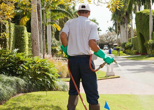 About Versailles MO Pest Control